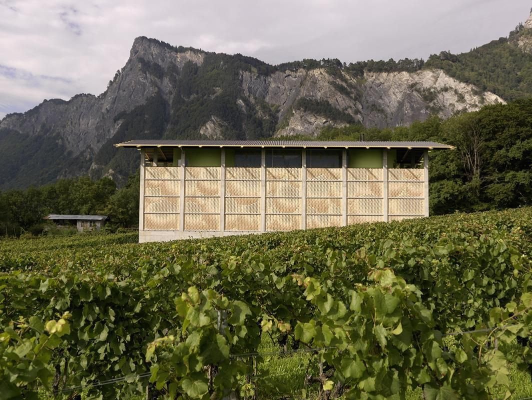 Vinařství Gantenbein, Gramazio & Kohler + Bearth & Deplazes Architekten