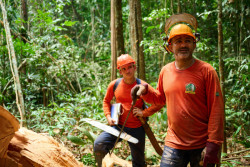 Společnost mmcité nabízí nábytek a mobiliář z jatoby s označením FSC. Díky tomu splňuje nejpřísnější kritéria pro její těžbu v amazonském pralese.