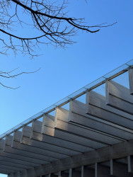 Vlastní zkušenost: Dřevo postupně šedne, hnědne nebo stárne podle toho, kam dopadá sníh a déšť, svítí světlo nebo vane vítr. (Autobusové nádraží Umeå Vasaplan, Wingårdhs + WSP)