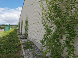 Komunitní centrum Nový Lískovec v Brně