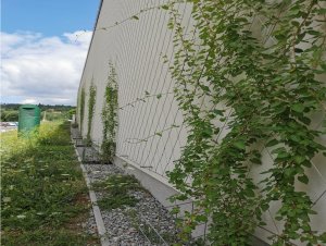 Komunitní centrum Nový Lískovec v Brně