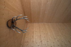 Chata v Jizerských horách od studia Markéta Cajthamlová, Architektonická projekční kancelář