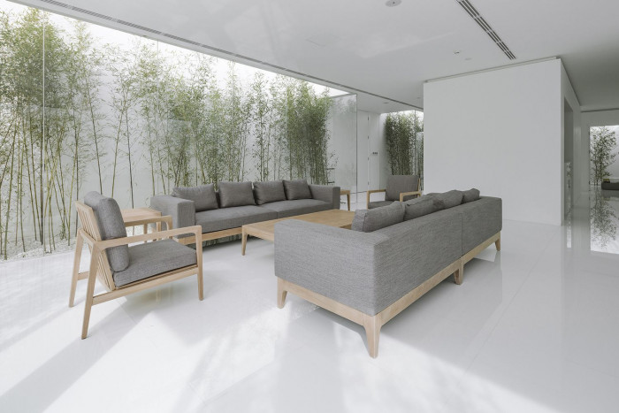 Bamboo Forest, V Studio