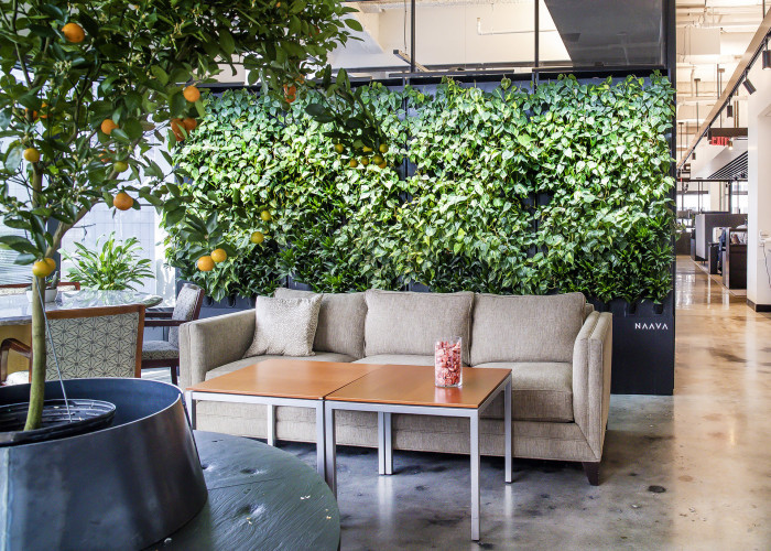 Zelené stěny od Jungle Interiors