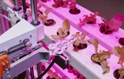 Vitra Design Museum představuje výstavu věnovanou minulosti i budoucnosti plastu