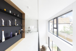 Ateliér Vrtiška & Žák navrhli interiér vily v pražské Troji v kombinaci světlých a tmavých odstínů