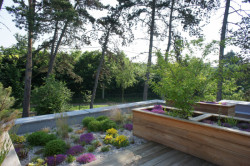 Šmídová Landscape Architects, Zahrada v Řeži, foto