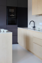 Kuchyně (Řadový dům v Čimicích, Plus One Architects)