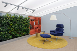 Původní pilíře porostlé popínavými rostlinami (Kanceláře Deveron v Blueriot; CISARSTUDIO)