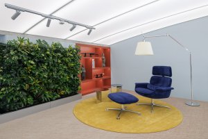 Původní pilíře porostlé popínavými rostlinami (Kanceláře Deveron v Blueriot; CISARSTUDIO)