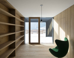 Vila P, Bergmeisterwolf