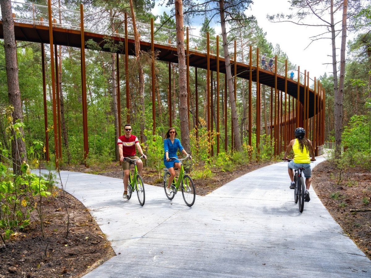 Cyklostezka v korunách stromů poblíž města Tongeren od krajinářského studia BuroLandschap a De Gregorio&Partners.