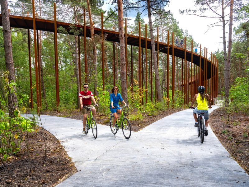 Cyklostezka v korunách stromů poblíž města Tongeren od krajinářského studia BuroLandschap a De Gregorio&Partners.