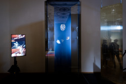 Les je tématem letošního 24. ročníku Designbloku