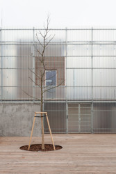 Mateřská škola ve Vratislavicích nad Nisou, Petr Stolín a Alena Mičeková