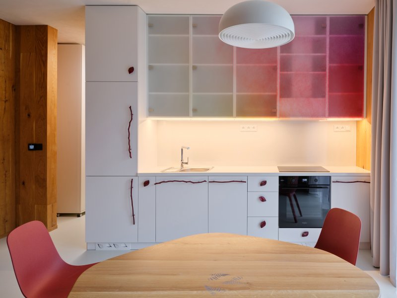 Pohled na kuchyňskou linku - má úchytky ve tvaru větviček a dalších přírodnin, vyrobila je značka Zlesart, kterou vede investor projektu. (Bee House; Petr Novák)