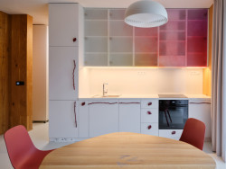 Pohled na kuchyňskou linku - má úchytky ve tvaru větviček a dalších přírodnin, vyrobila je značka Zlesart, kterou vede investor projektu. (Bee House; Petr Novák)