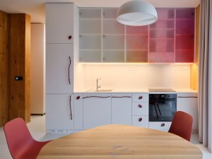 Pohled na kuchyňskou linku - má úchytky ve tvaru větviček a dalších přírodnin, vyrobila je značka Zlesart, kterou vede investor projektu. (Bee House; Petr Novák)