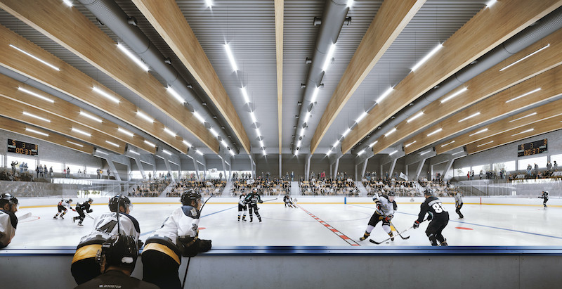 Hokejový stadion v Hluboké nad Vltavou, vizualizace, A8000