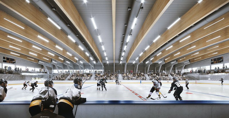 Hokejový stadion v Hluboké nad Vltavou, vizualizace, A8000