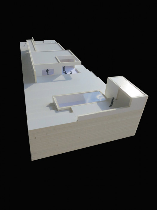 Rodinný dům Benešov, model, Holiš + Šochová architekti