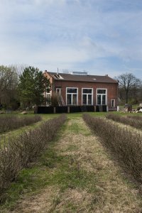 studio NEW WORK, Vestavba bytu do historické průmyslové haly – foto