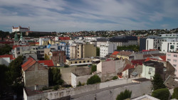 Novostavba bytového domu Zelený dvor citlivě doplňuje historickou strukturu Starého Mesta a přináší moderní městské bydlení ve vnitrobloku.