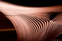 PARTISANS, Bar Raval - foto