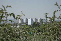 gutgut, Panelák v Rimavskej Sobote - foto