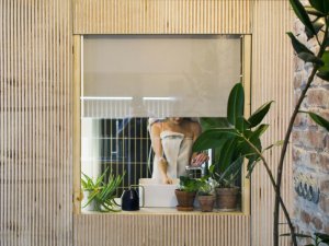 Vítěz kategorie interiér - Byt Ema v Bratislavě, ateliér Toito architekti