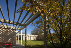 Med Pavlík architekti navrhli úsporný rodinný dům v sadu na Pardubicku