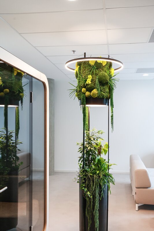 Jungle Raketa je vhodná pro kanceláře a coworkingy, kde vegetace podporuje koncentraci a pocit pohody.