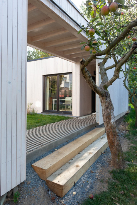 Dům před dvůr, DDAANN