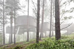 Vyhlídková plošina Sohlberg, Carl-Viggo Hølmebakk