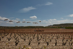 Glimpse, Fernando Cruzado, Julia Díaz, Francisco Javier Fernández, Ane Villaverde