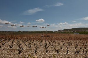 Glimpse, Fernando Cruzado, Julia Díaz, Francisco Javier Fernández, Ane Villaverde