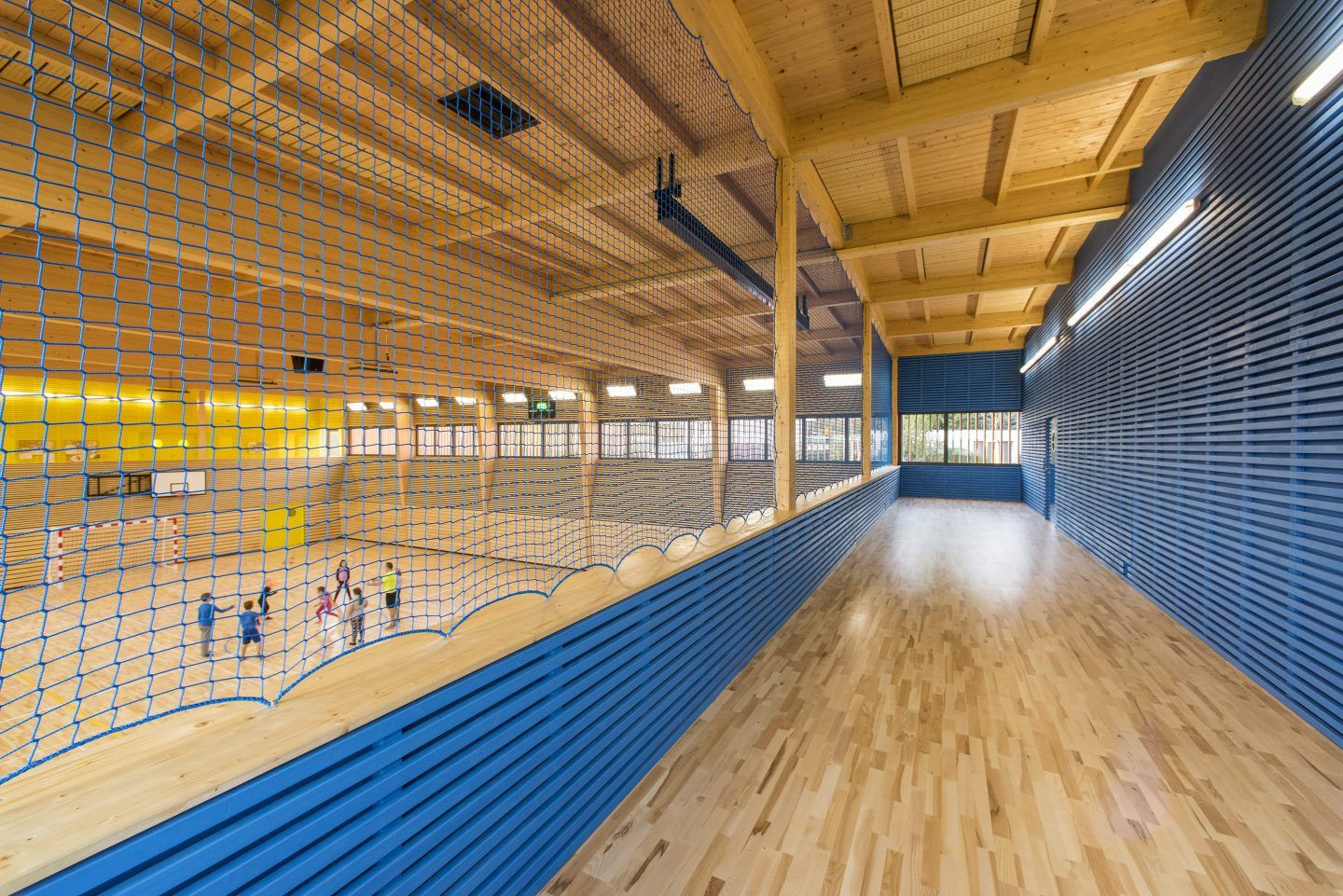 Dřevák, M1 architekti, modrá galerie