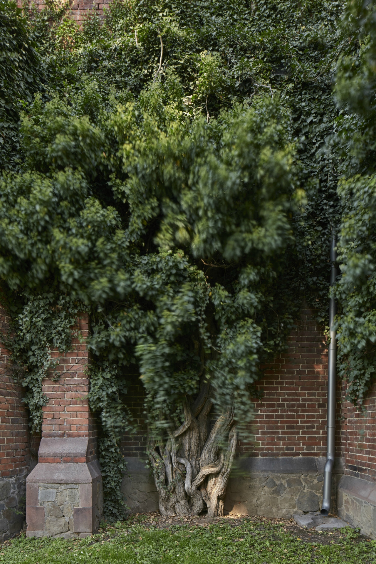 Červený zámek v Hradci nad Moravicí, ATELIER 38/ Jan Zelinka, Luděk Valík