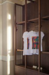 Interiéry předsálí České filharmonie v Rudolfinu, Lenka Míková architekti / Lenka Míková