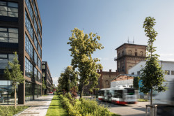 Administrativní ulice, Areál Ponávka, Studio Acht / Václav Hlaváček.