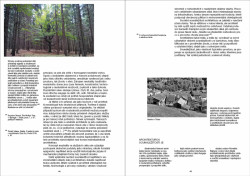 Publikace Architektura reciprocity, Pavla Melková, Miroslav Cikán.