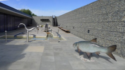 Vodní dům, AND spol. s.r.o.