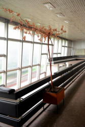 Současný stav Městských lázní Chomutov, které byly trvale uzavřené v roce 2012.