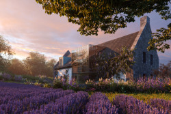 Developerský projekt Masák & Partner Group - Zahrada snů - vizualizace