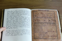 Julie Floriánová, „Představa, realita, vzpomínka“ – foto