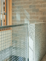 Sprössling, Marazzi Reinhardt