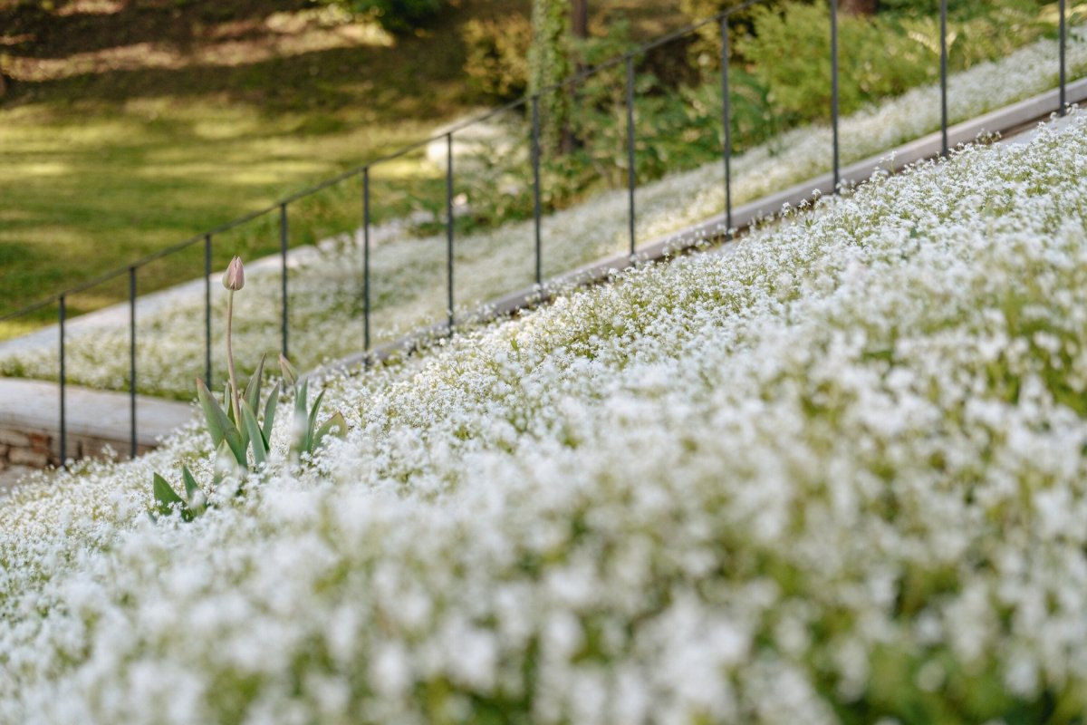 Štěpánčin park v Prachaticích, M2AU, Grupeto