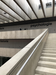 Všichni všechny vidí - přehlednost patří mezi hlavní přednosti nového prostoru