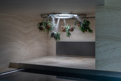 Ateliéry StudioPAB a mimokolektiv se ujali rekonstrukce historické funkcionalistické vily v Olomouci