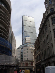 Okurka a spol. - foto